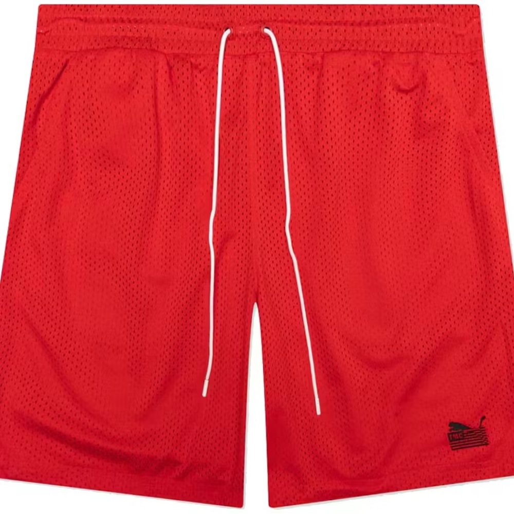 PUMA X TMC EVERYDAY HUSSLE MESH SHORTS: Red